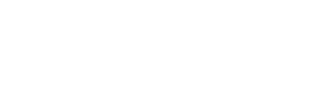 logo d'IP Shield Pro en blanc